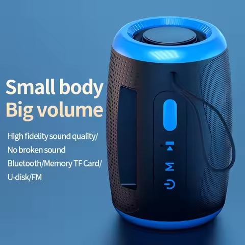 Portable Speaker
